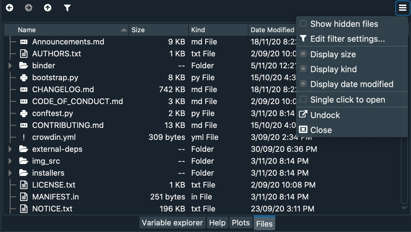 Spyder Files pane showing columns checked and shown