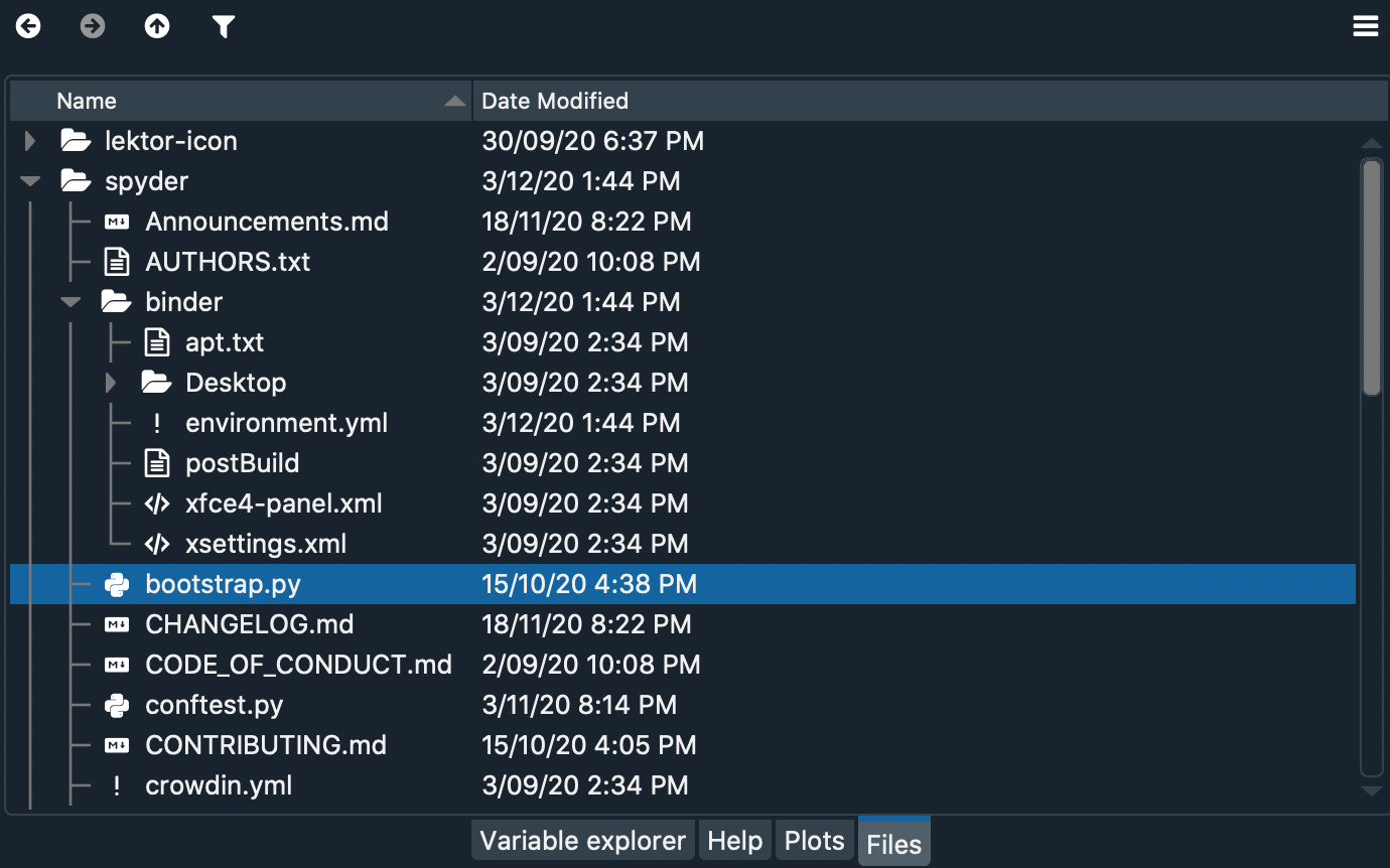 Spyder Files pane, showing a tree view of files and metadata