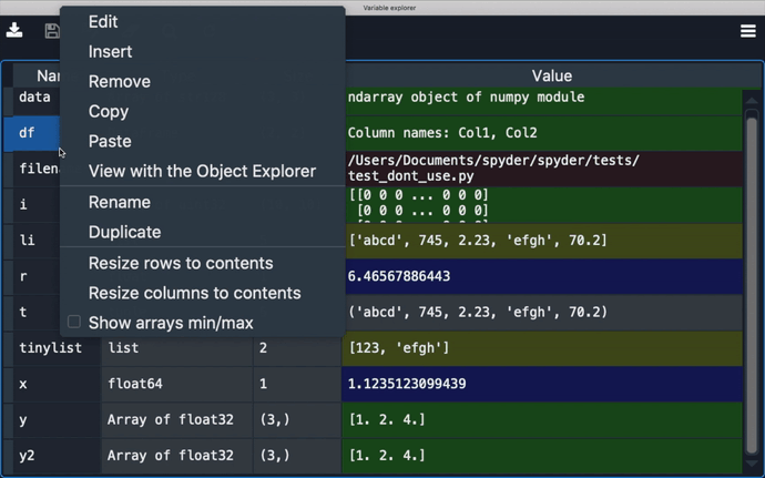 Variable Explorer showing insertion of a new variable