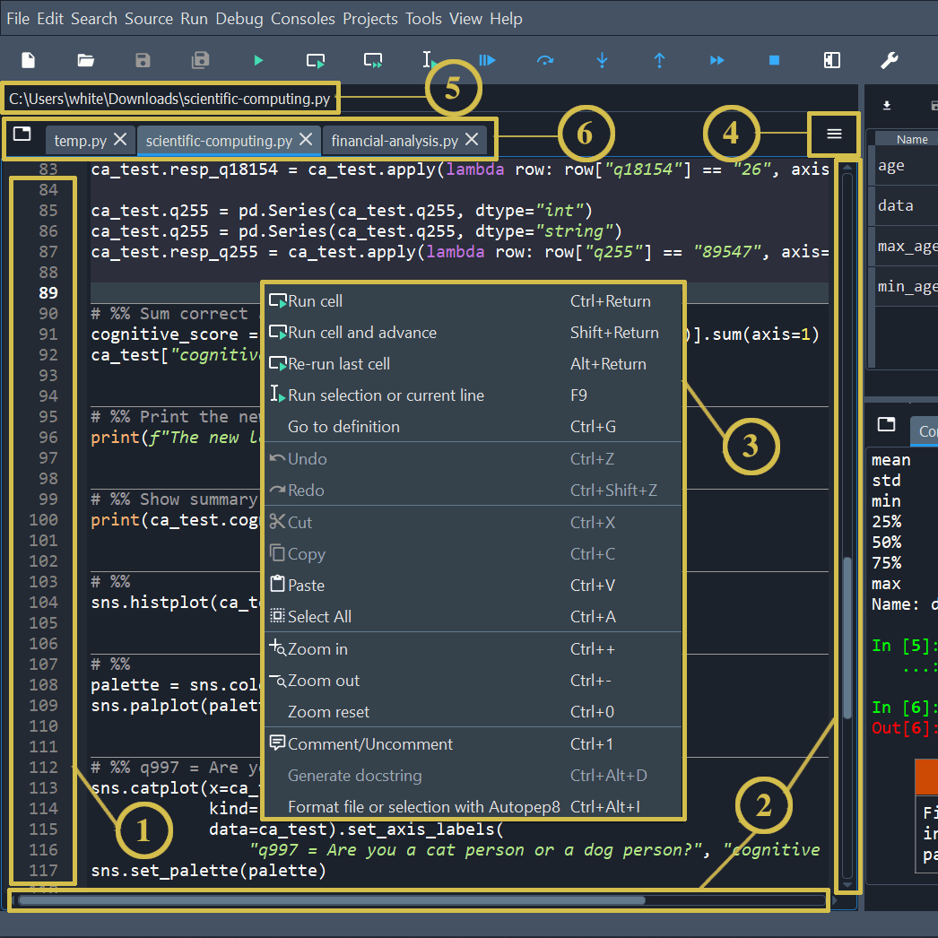Spyder's Editor pane, showing its different areas (described below)