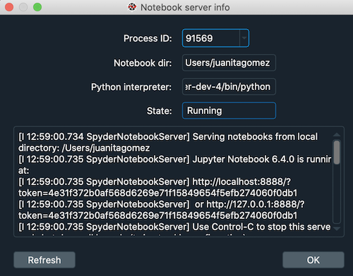Server info for notebook in Spyder