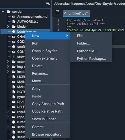 Spyder Project Explorer, displaying a directory tree of project files