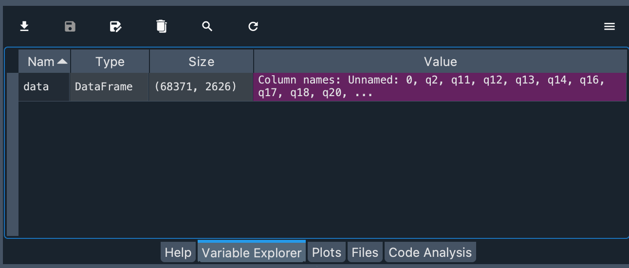 Dataset in the Variable Explorer