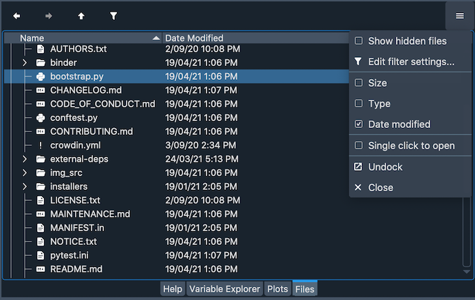 Spyder Files pane showing columns checked and shown