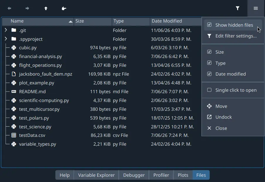Spyder Files pane showing columns checked and shown