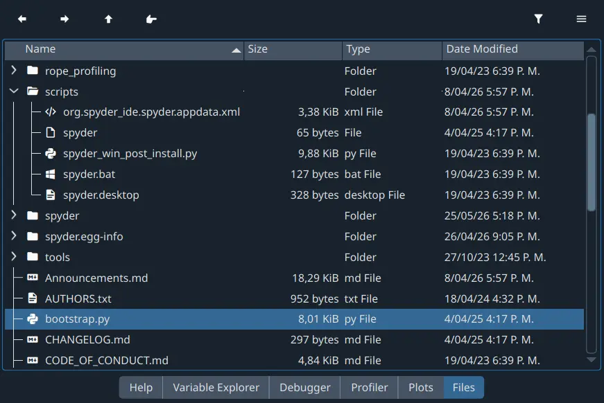 Spyder Files pane, showing a tree view of files and metadata
