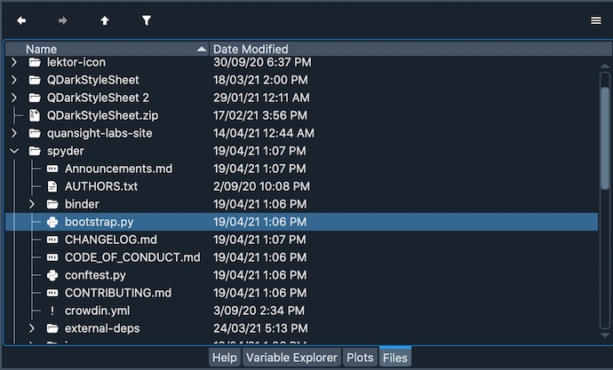 Spyder Files pane, showing a tree view of files and metadata