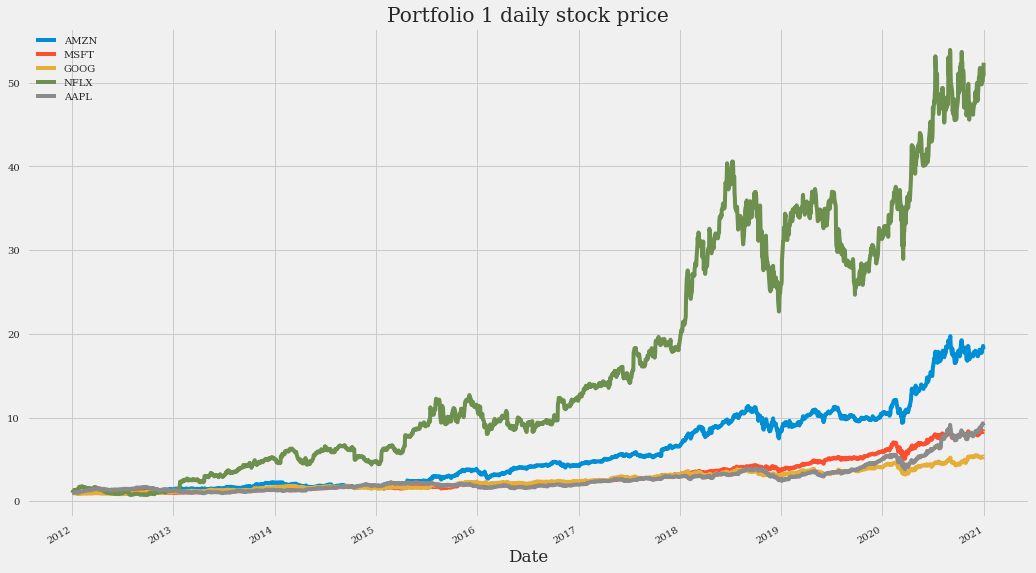 Portfolio 1 daily stock price